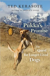 Pukka's Promise: The Quest for Longer-Lived Dogs